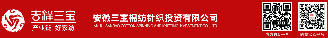 安徽三寶棉紡針織投資有限公司